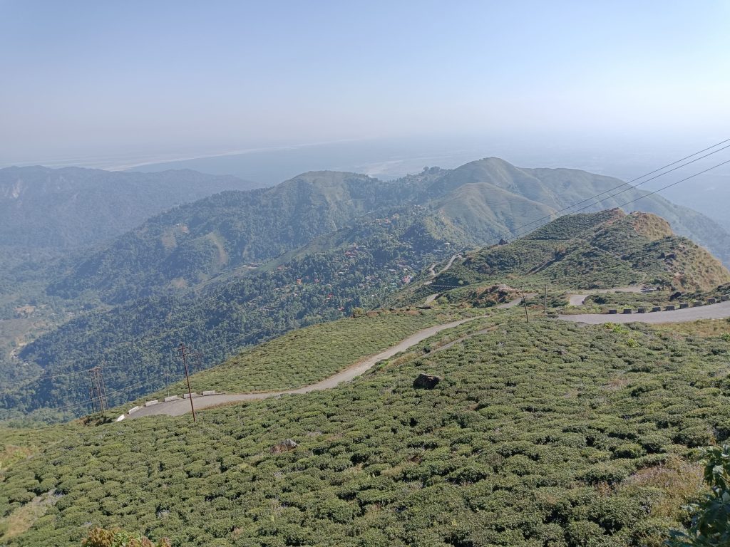 DARJEELING PICTURE2