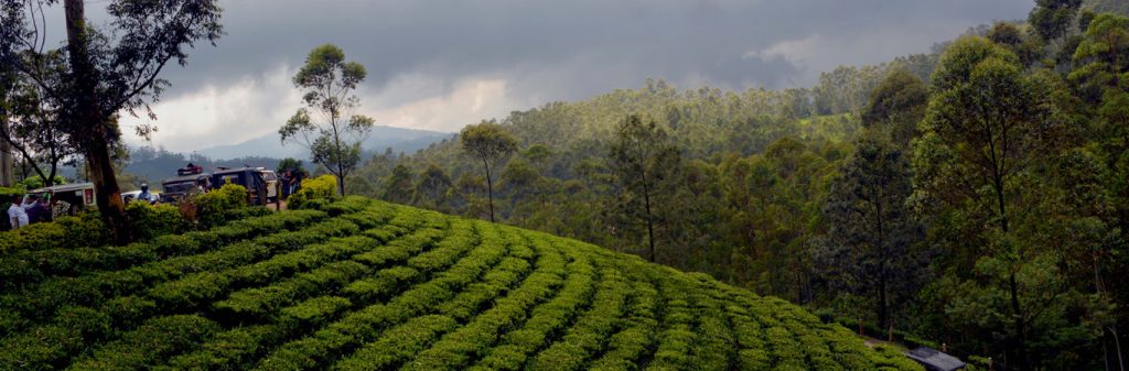 1628244544_siliguri-banner1