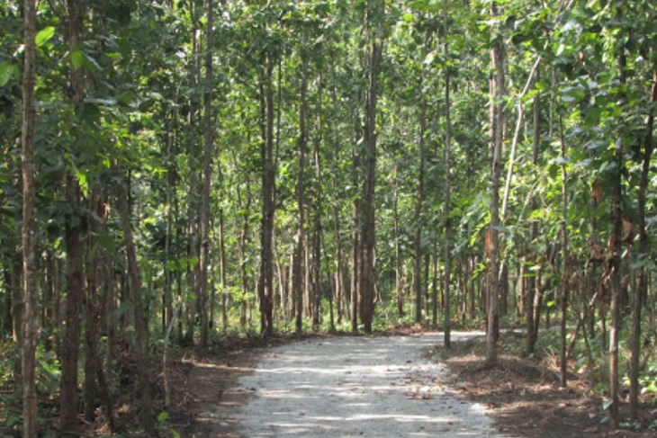 1628768807_siliguri-destination-img2