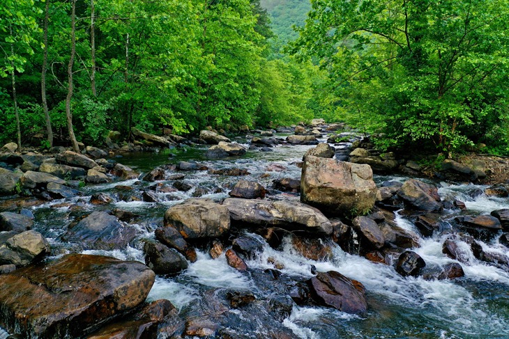 1628768807_siliguri-destination-img3