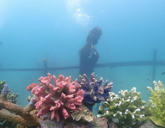 PATTYA UNDER SEA ADVENTURE